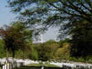 Arlington_National_Cemetery_02.jpg (143094 bytes)